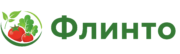 flinto logo no white box